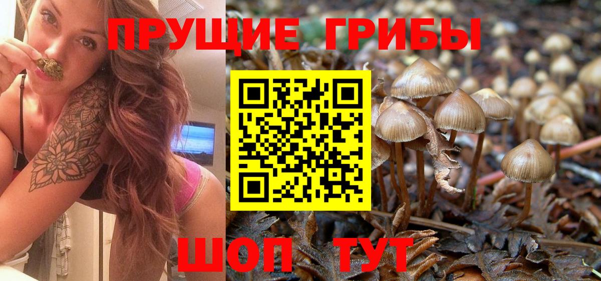 Галлюциногенные грибы мицелий  сколько стоит  Псилоцибиновые грибы Psilocybe  Североуральск  Вход с VPN 